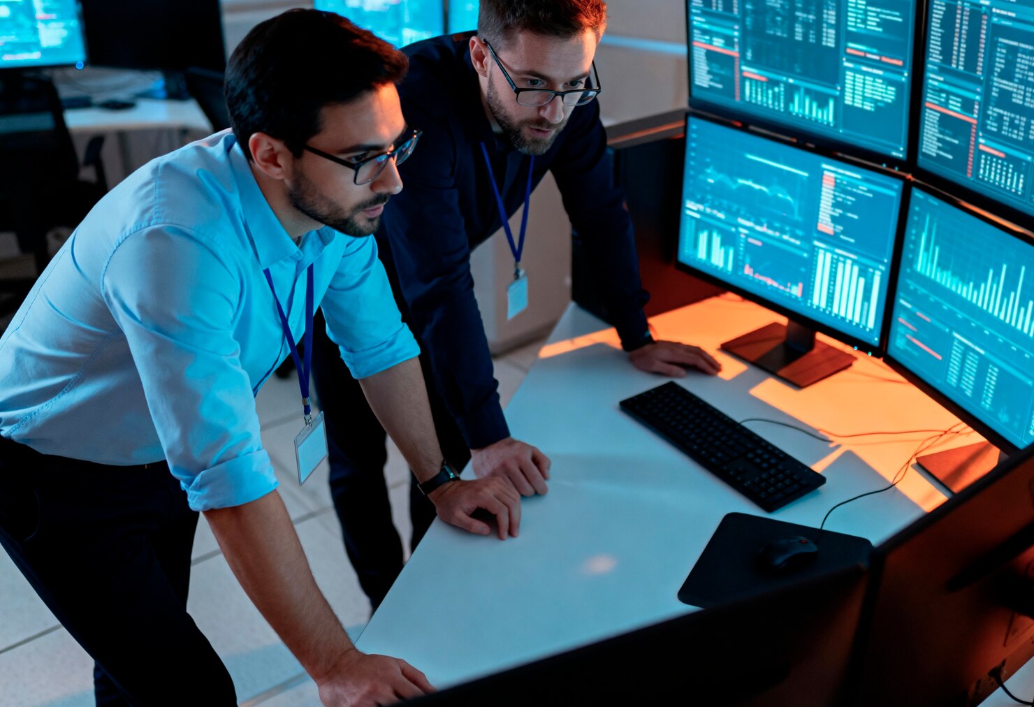 Software Integration